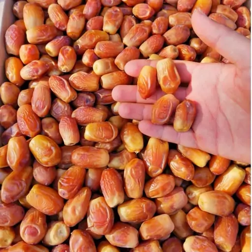 تصویر 1 از خرید و فروش خرما زاهدی فله با شرایط فوق العاده