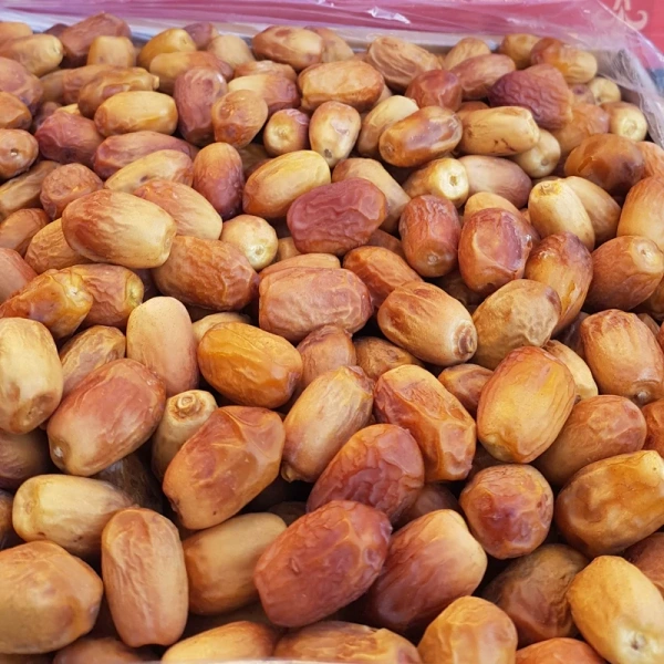 تصویر 2 از قیمت خرما زاهدی فراشبند + خرید باور نکردنی