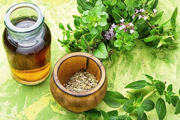 تصویر 2 از قیمت خرید شربت عرق پونه عمده به صرفه و ارزان