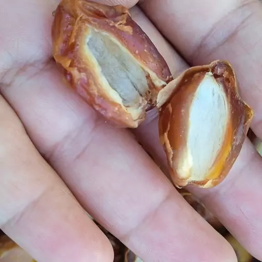 تصویر 3 از قیمت خرما زاهدی بدون هسته با کیفیت ارزان + خرید عمده
