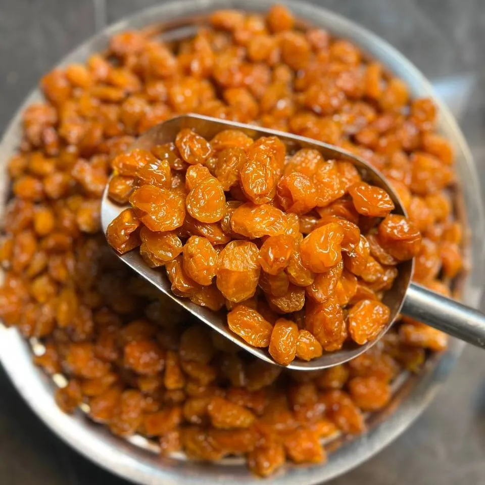 تصویر 5 از قیمت خرید آلو بخارا کیلویی + فروش ویژه