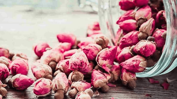 تصویر 1 از قیمت خرید غنچه گل محمدی تازه + فروش عمده