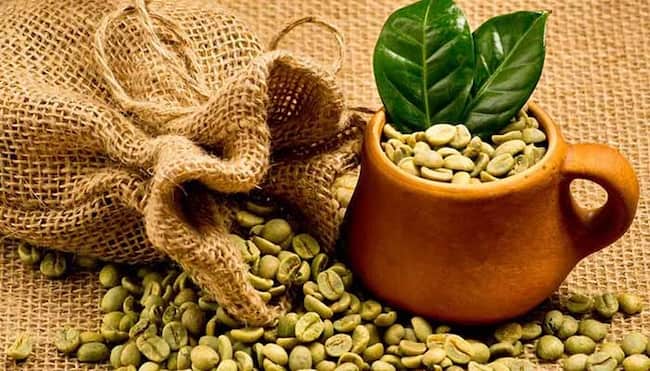 تصویر 2 از قیمت خرید قهوه روبوستا سبز + فروش ویژه