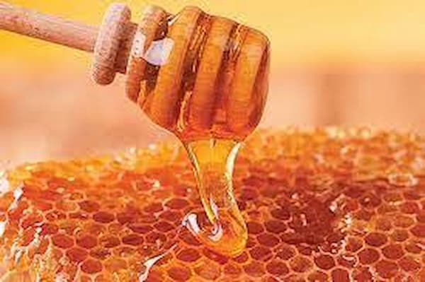 تصویر 1 از فروش عمده عسل کنار اصل + خرید عمده