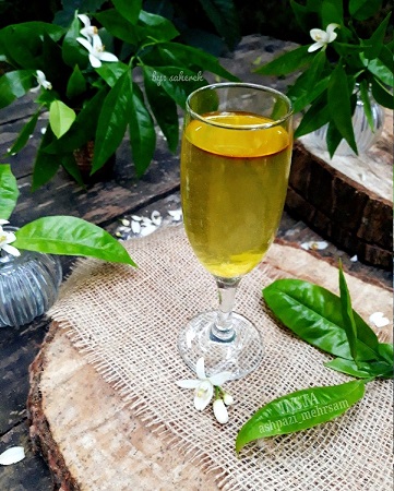 تصویر 4 از خرید و فروش بهارنارنج شیراز با شرایط فوق‌العاده
