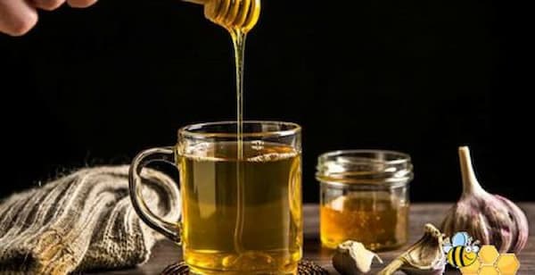 تصویر 3 از خرید عسل آویشن + قیمت فروش استثنایی