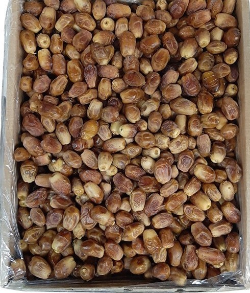 تصویر 1 از قیمت خرید خرما زاهدی کارتونی + فروش ویژه