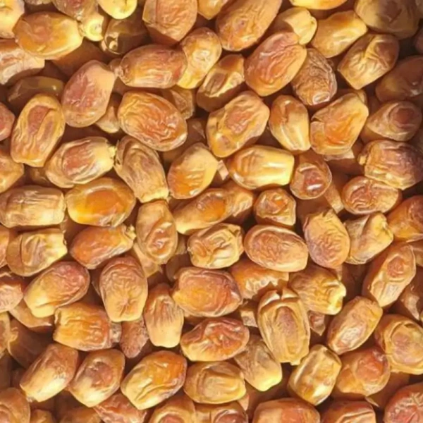 تصویر 2 از قیمت خرید خرما زاهدی کارتونی + فروش ویژه