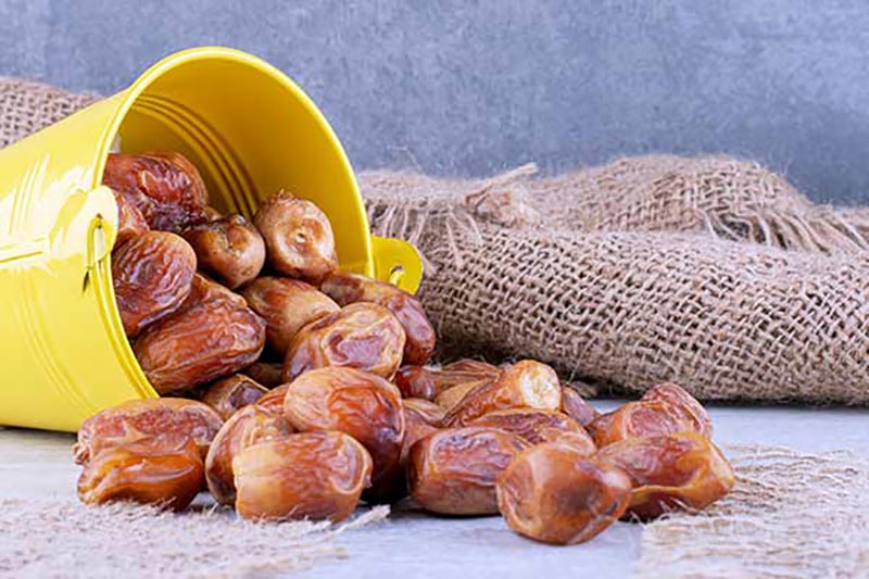 تصویر 5 از قیمت خرما زاهدی اعلا با کیفیت ارزان + خرید عمده