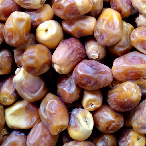 تصویر 5 از خرید خرما زاهدی ایرانی + قیمت فروش استثنایی