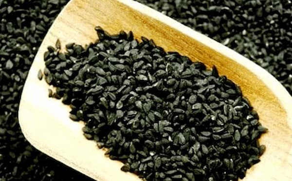 تصویر 4 از خرید و قیمت گل گاو زبان کاکوتی + فروش عمده