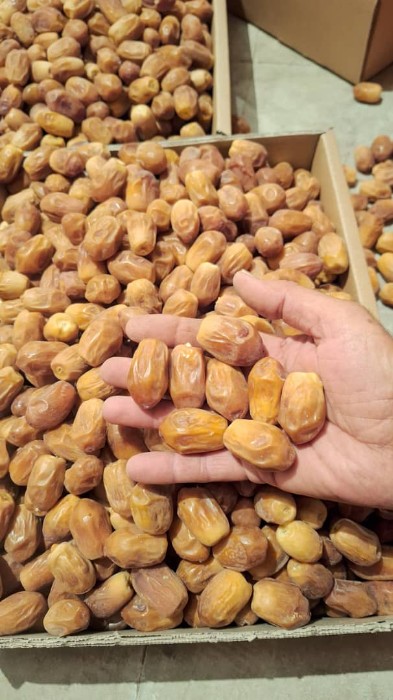 تصویر 4 از قیمت خرما زاهدی شیراز با کیفیت ارزان + خرید عمده