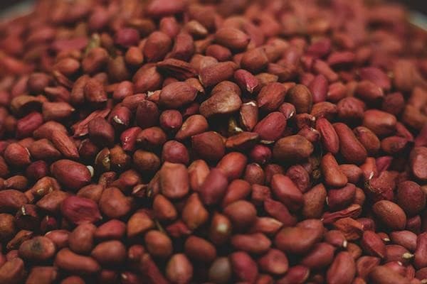 تصویر 3 از قیمت خرید بادام زمینی درجه ۱ با فروش عمده