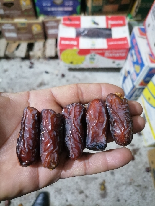 تصویر 5 از قیمت خرید خرما پیارم حاجی آباد با فروش عمده