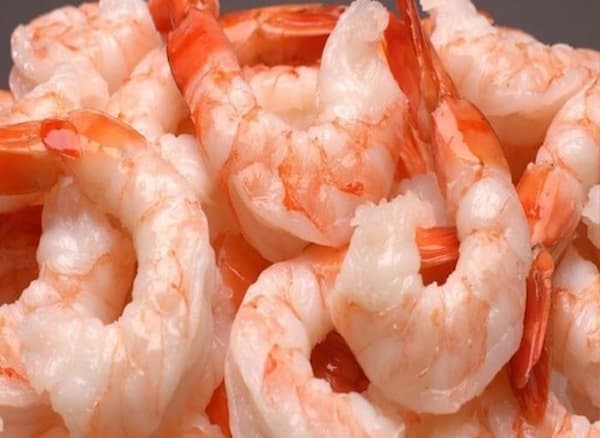تصویر 3 از قیمت خرید شاه میگو بسته بندی با فروش عمده