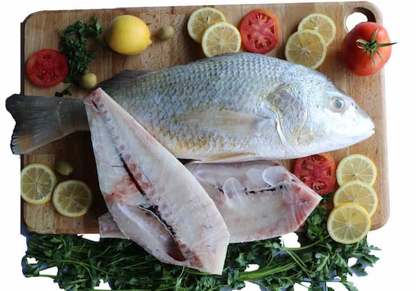 تصویر 5 از خرید و فروش ماهی سنگسر طلایی با شرایط فوق العاده