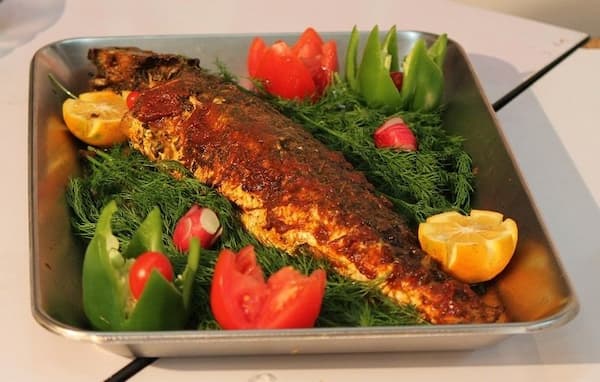 تصویر 1 از خرید و فروش ماهی سنگسر طلایی با شرایط فوق العاده