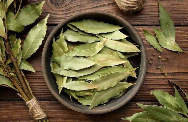 تصویر 5 از خرید و فروش دمنوش برگ گزنه با شرایط فوق العاده