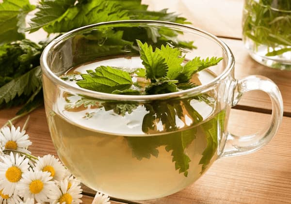 تصویر 3 از خرید و فروش دمنوش برگ گزنه با شرایط فوق العاده