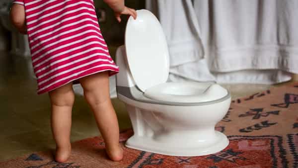 تصویر 3 از خرید توالت فرنگی سایز بزرگ + قیمت فروش استثنایی