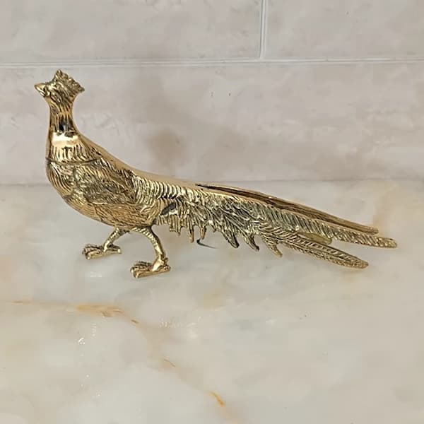تصویر 2 از قیمت خرید قرقاول برنزی عمده به صرفه و ارزان