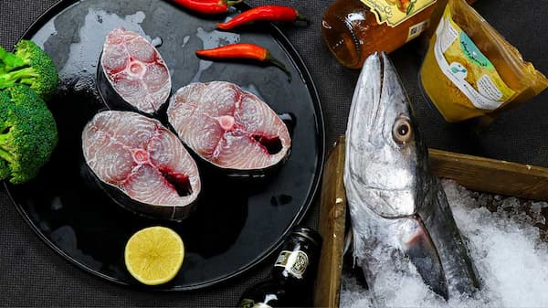 تصویر 1 از خرید و قیمت ماهی شیر بندر + فروش عمده