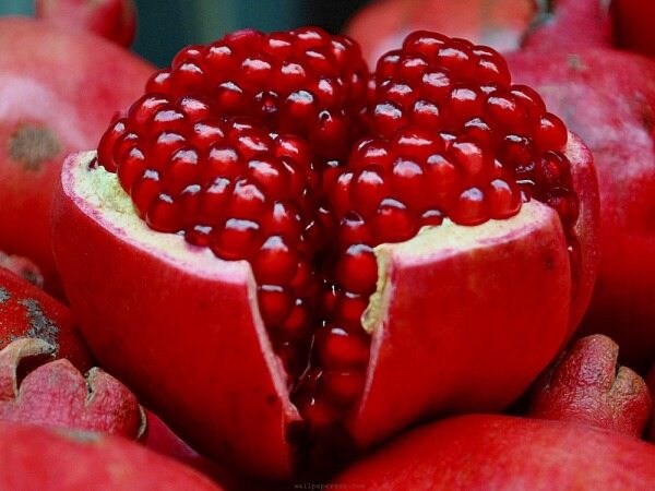 قیمت انار ارگانیک با کیفیت ارزان + خرید عمده