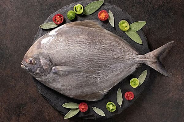 تصویر 5 از خرید ماهی حلوا سیاه + قیمت فروش استثنایی