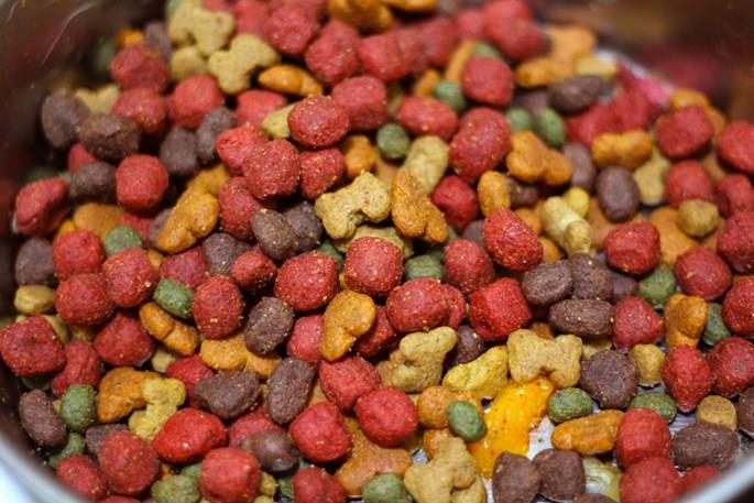 تصویر 1 از قیمت خرید غذای خشک سگ  ۲۰کیلویی + فروش ویژه