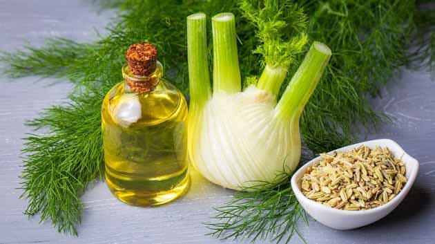 تصویر 5 از قیمت دمنوش رازیانه تازه + خرید باور نکردنی