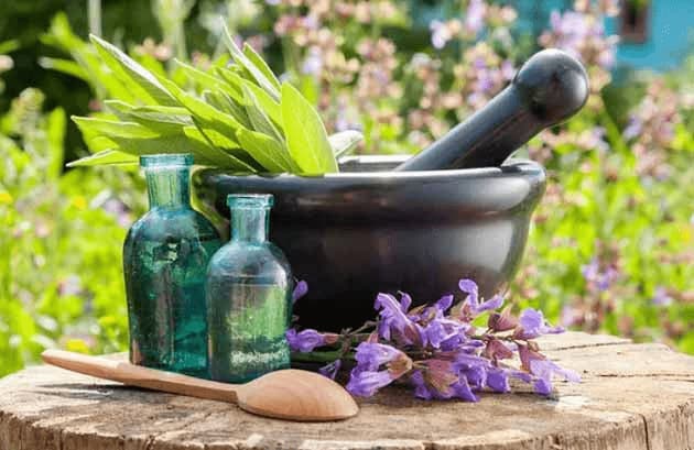 تصویر 5 از قیمت خرید دمنوش مریم گلی تازه + فروش ویژه + فروش ویژه