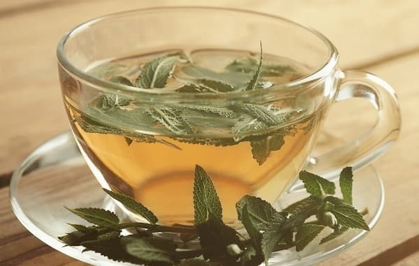 تصویر 3 از قیمت خرید دمنوش مریم گلی تازه + فروش ویژه + فروش ویژه