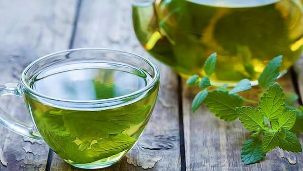 تصویر 2 از خرید و فروش دمنوش کاکوتی تازه با شرایط فوق العاده