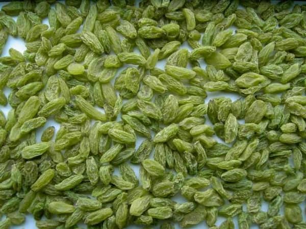 تصویر 5 از خرید کشمش سبز پلویی + قیمت فروش استثنایی