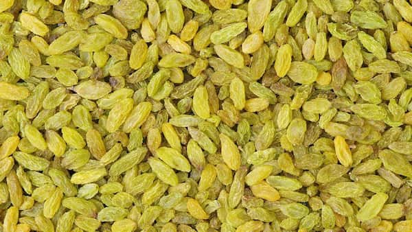 تصویر 2 از خرید کشمش سبز پلویی + قیمت فروش استثنایی
