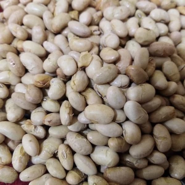 تصویر 4 از قیمت روز اجیل سویا لیمویی