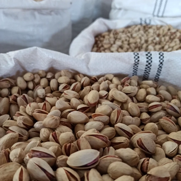 تصویر 5 از قیمت خرید پسته احمد آقایی لب ماتیکی + فروش ویژه