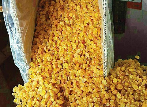 تصویر 2 از خرید کشمش گلدن ملکان + قیمت فروش استثنایی