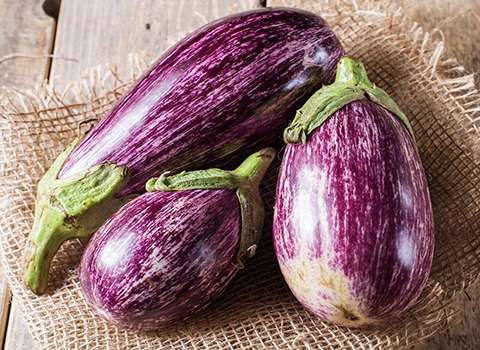 تصویر 1 از قیمت بادمجان سیاه افغانی + خرید باور نکردنی