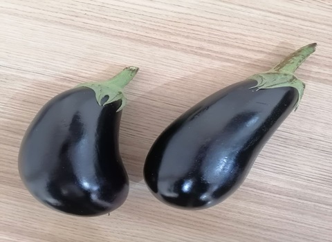 تصویر 4 از قیمت بادمجان سیاه افغانی + خرید باور نکردنی