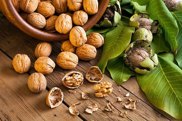 تصویر 5 از قیمت خرید مغر گردوی تازه + فروش ویژه