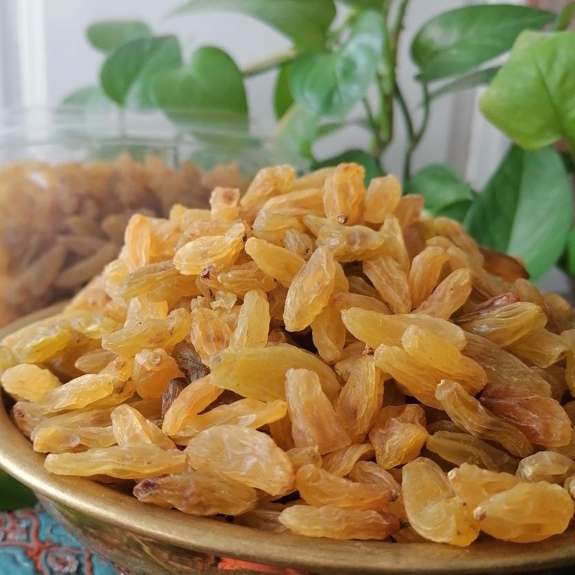 تصویر 2 از قیمت خرید کشمش زرد دودی + فروش ویژه