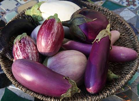 تصویر 2 از خرید و فروش بادمجان گلخانه ای ورامین با شرایط فوق العاده