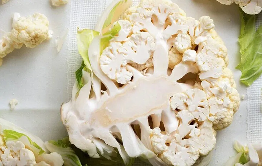 تصویر 3 از فروش گل کلم ستاره ای + قیمت خرید به صرفه