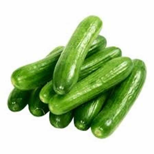 تصویر 2 از قیمت خرید خیار گلخانه ای ناگین + فروش ویژه