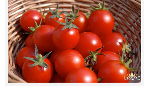 تصویر 5 از خرید رب گوجه فرنگی محلی + قیمت فروش استثنایی