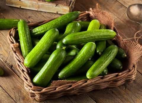 تصویر 1 از خرید و قیمت خیار رسمی یزد + فروش عمده