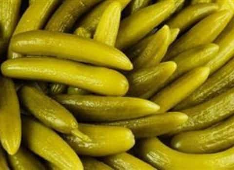 تصویر 2 از خرید و فروش خیار درشت برای خیارشور با شرایط فوق العاده