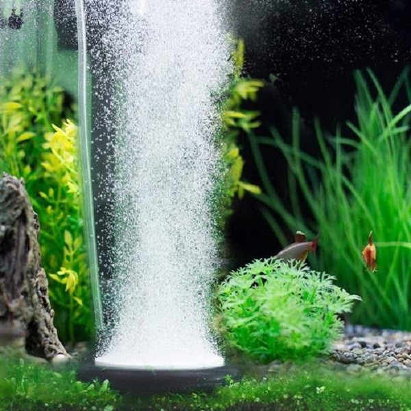 تصویر 3 از قیمت دستگاه تصفیه آب ماهی + خرید باور نکردنی