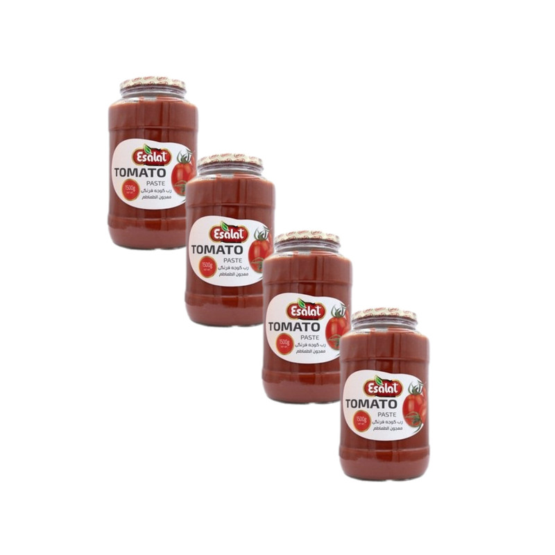تصویر 2 از خرید و قیمت رب گوجه فرنگی اصالت + فروش عمده